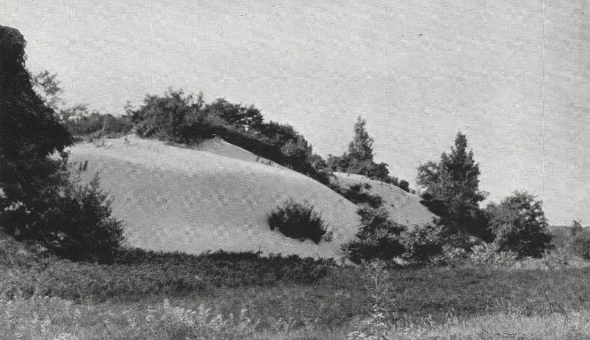 Wonder Women of the Dunes