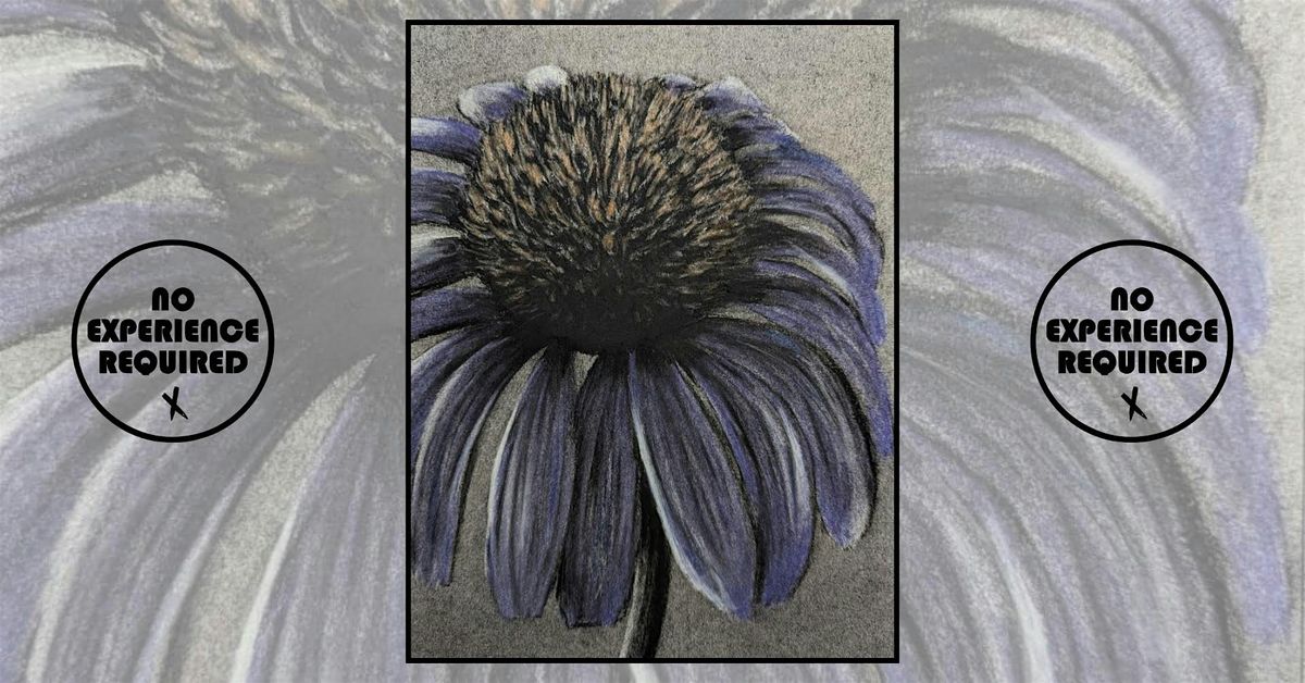Charcoal Drawing Event "Coneflower" in Stevens Point
