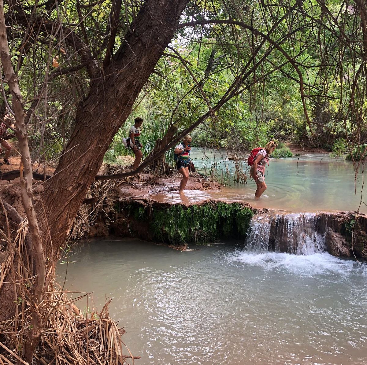 Preparing For Your Havasupai Hiking Trip