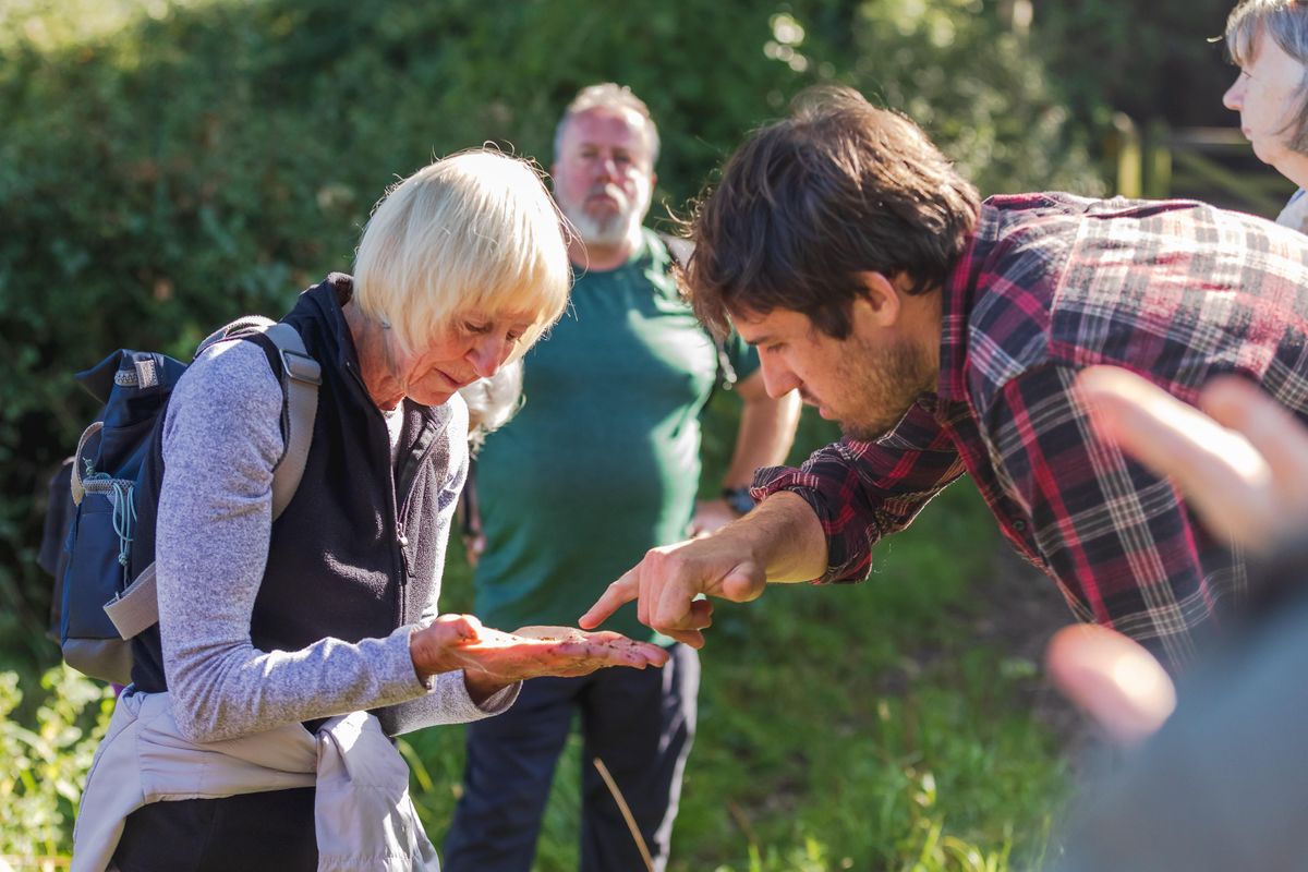 FORAGE & NIBBLE with Alpkit in Keswick