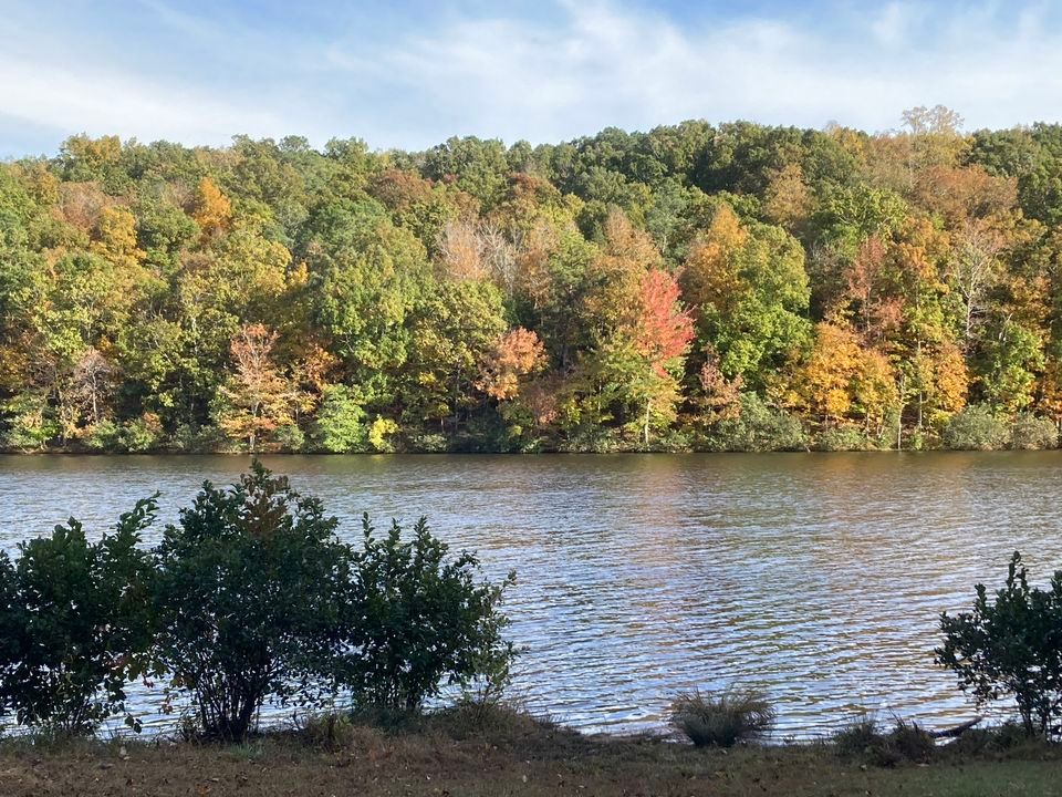 District Hike #171 - Wake Forest Reservoir