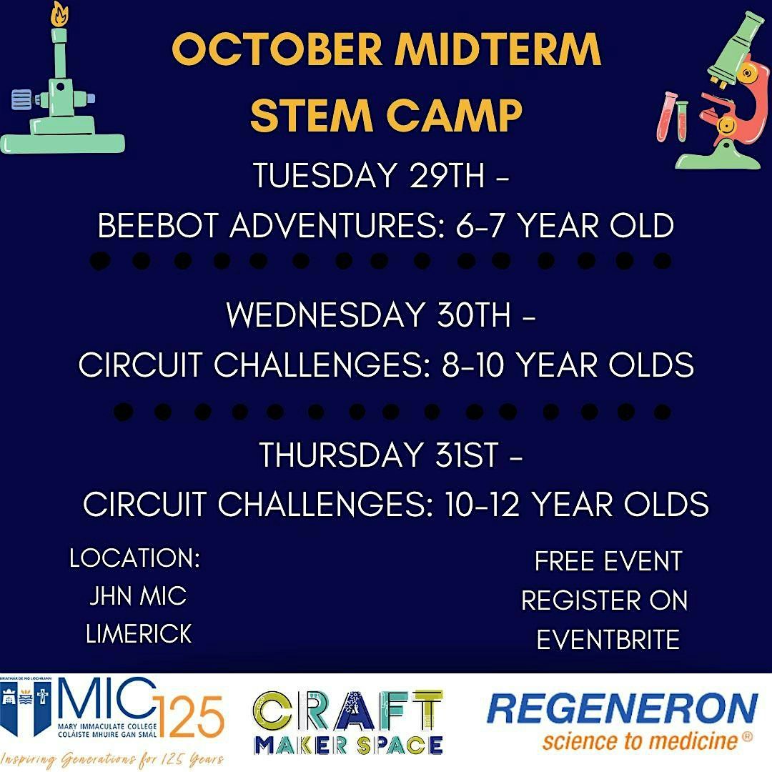 Circuit Challenges for 8-10 Year Olds with Science to Medicine exhibition