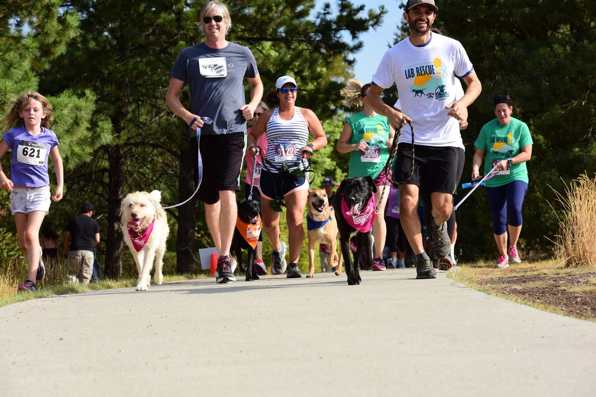 16th Annual Rocky Mountain Lab Rescue 5K & Fun Run!