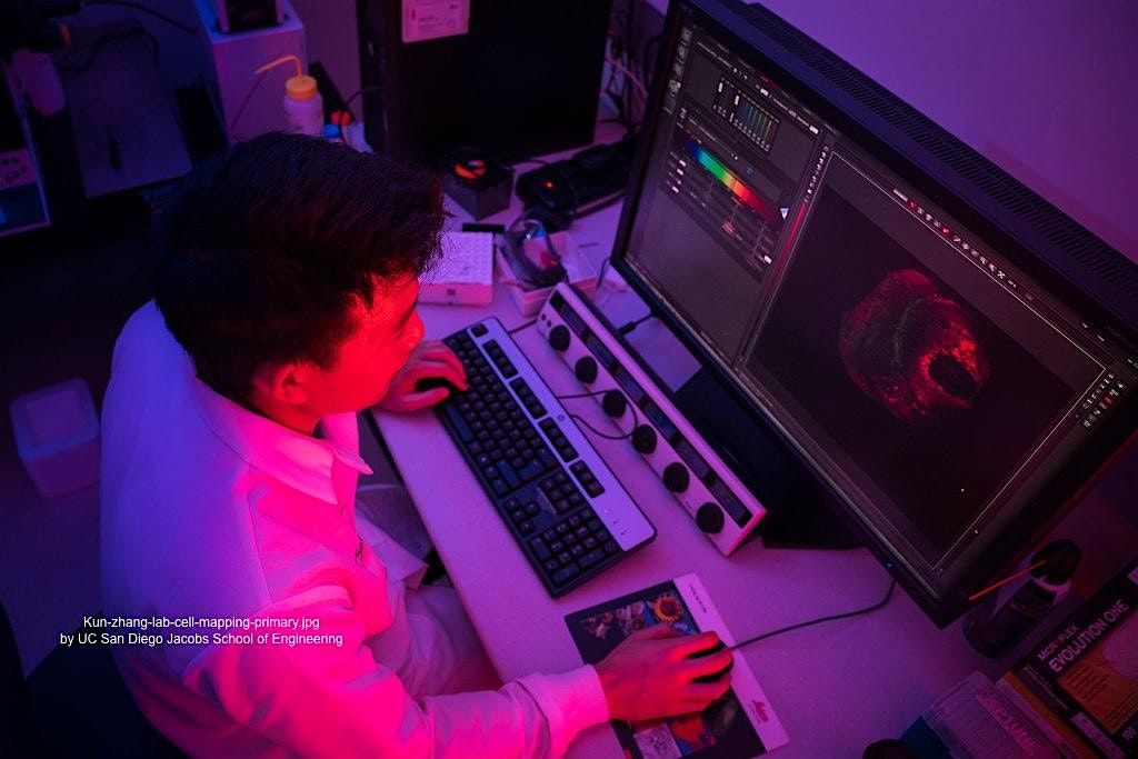 Medical Image Processing: pilot version