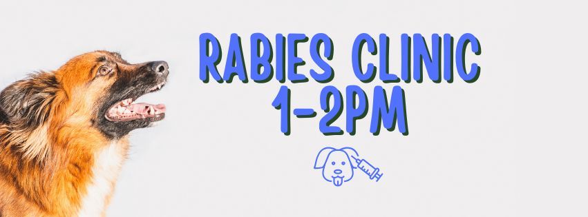 $10 CASH Rabies Clinic