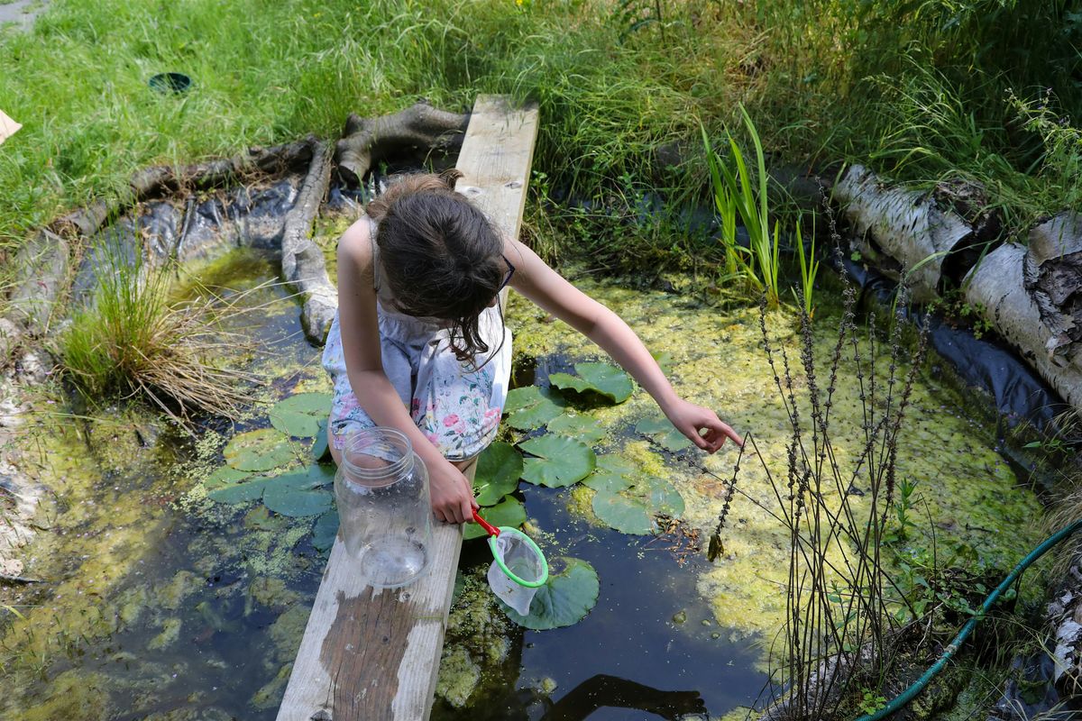 Forest School - Ages 10 - 12