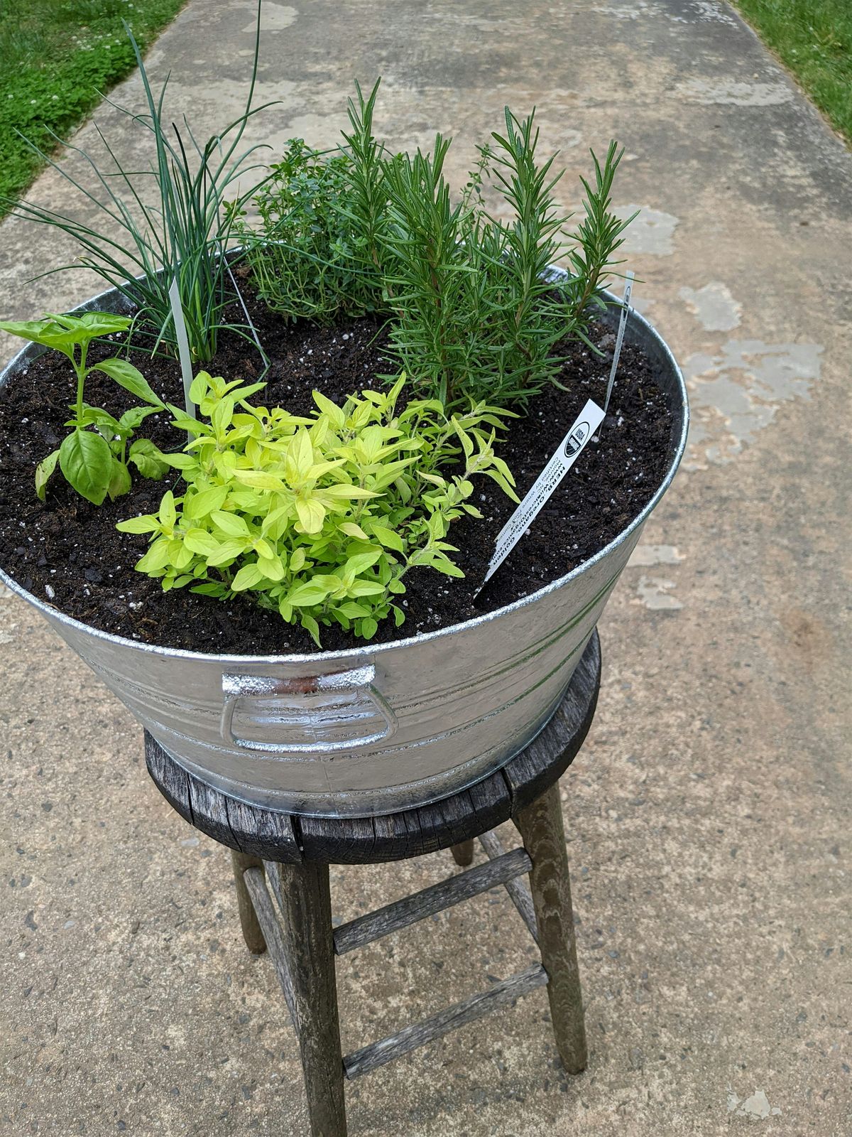 BYOP (Bring Your Own Pot) - Pizza Herbs with The Patio Farmer