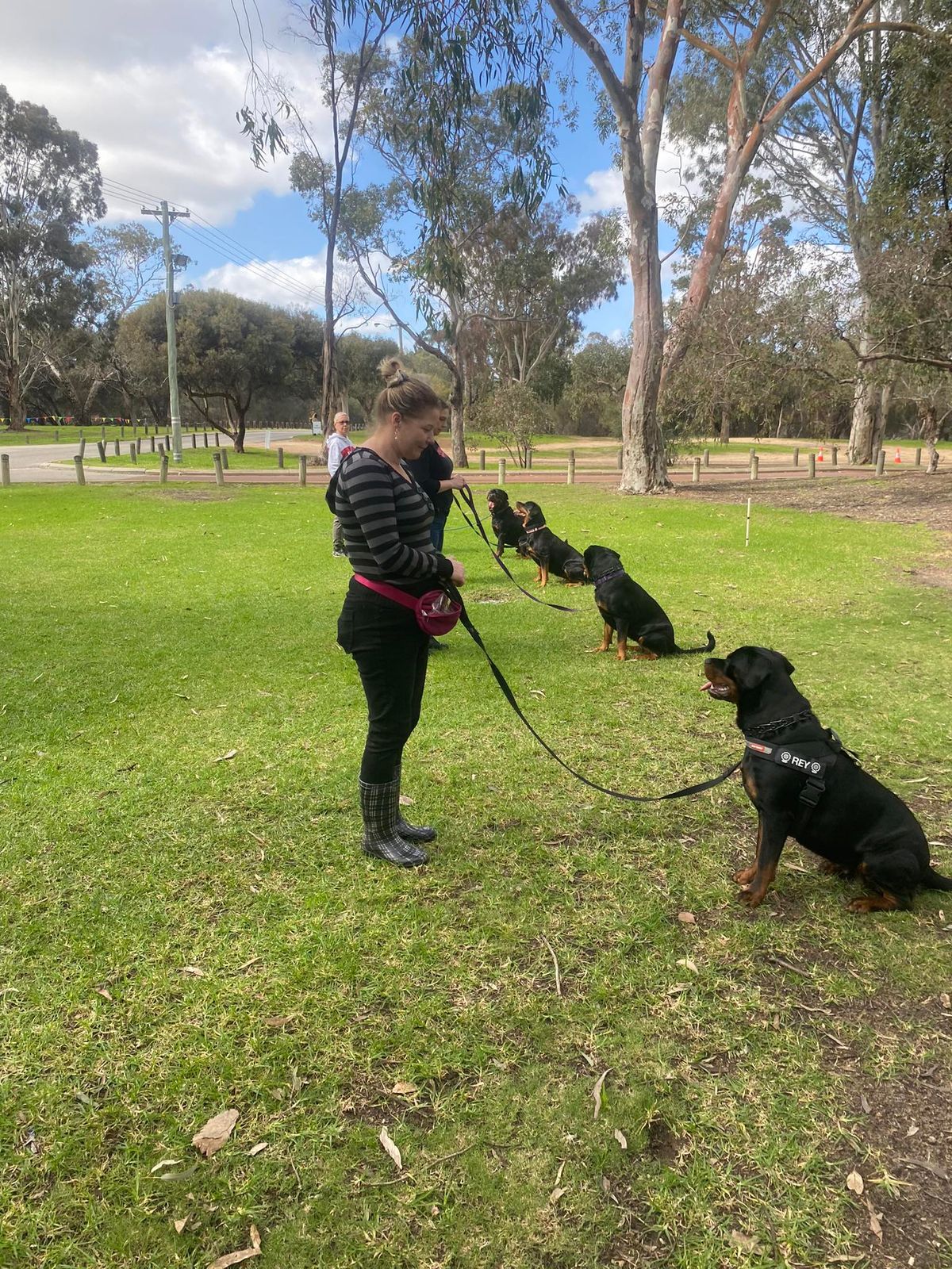 Rottweiler the Breed Seminar