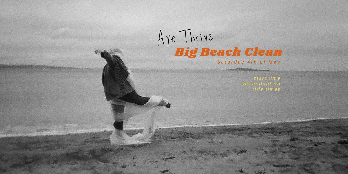 Aye Thrive: Big Beach Clean & MCS Survey