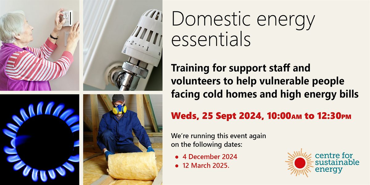 Domestic Energy Essentials - in person