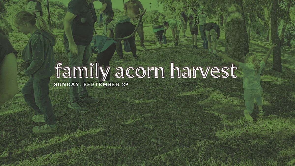 Family Acorn Harvest