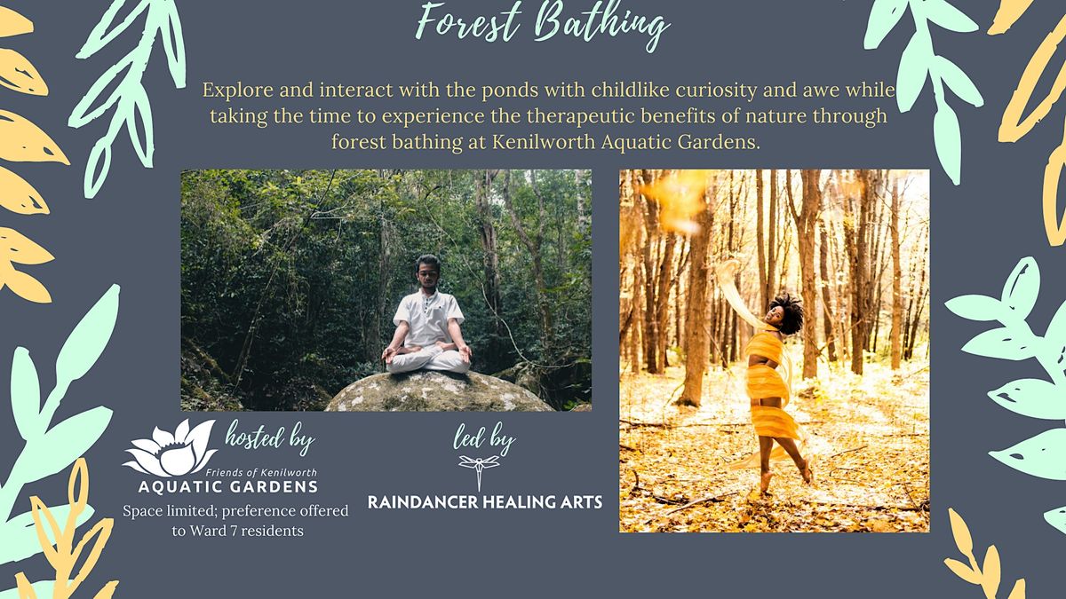 Forest Bathing on Sept 3