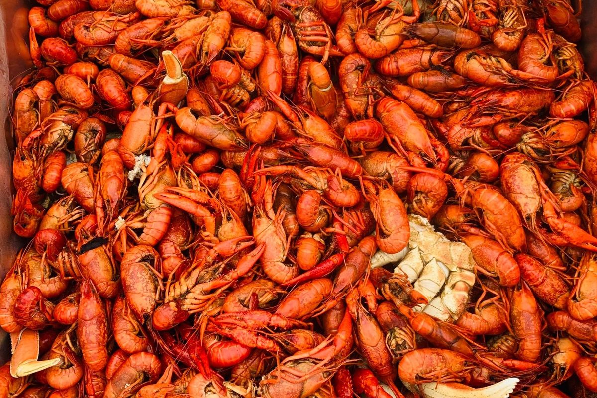 Mardi Gras Crawfish Boil at Crawdads on the Lake