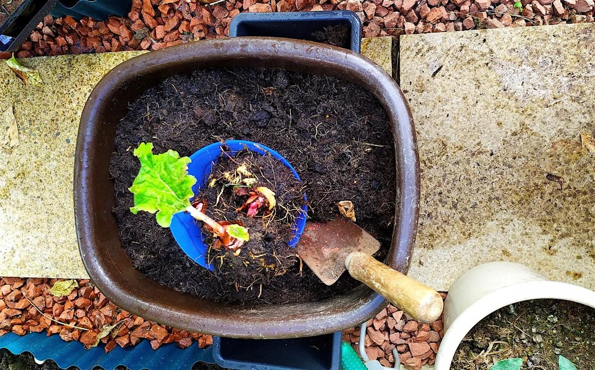 Apprendre \u00e0 faire son compost au Jardin Ella Fitzgerald