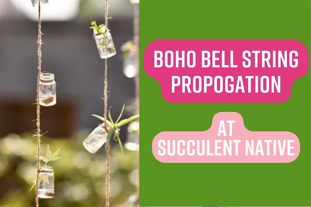 Boho Bell String Propogation