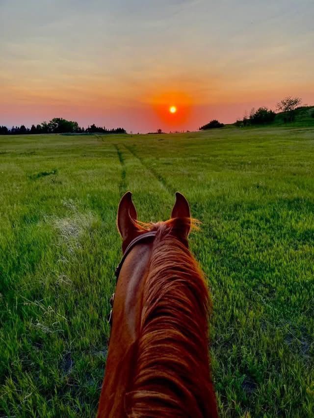 AVH EVENING FUN RIDE 