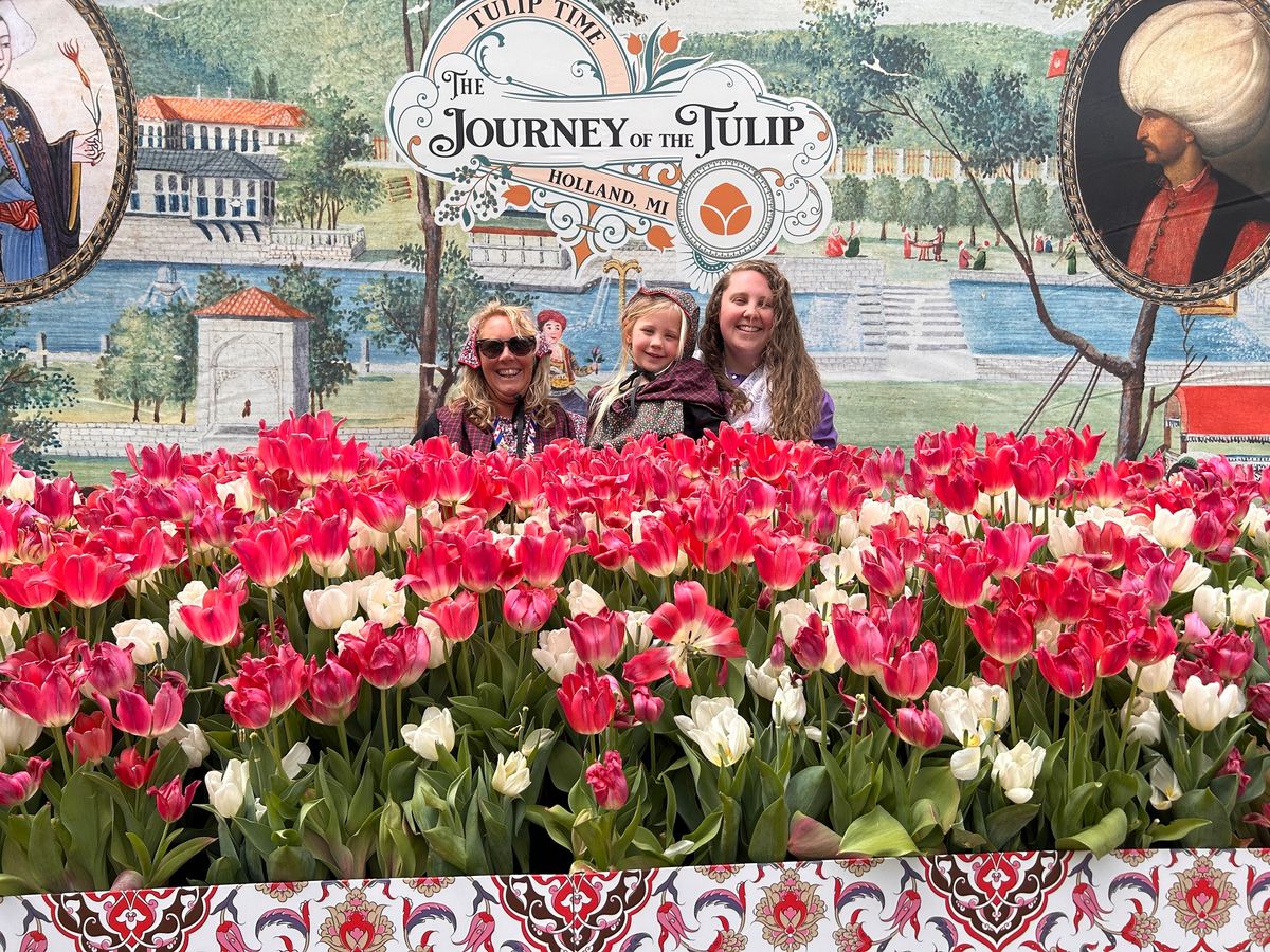 Tulip Immersion Garden by Tulip Time