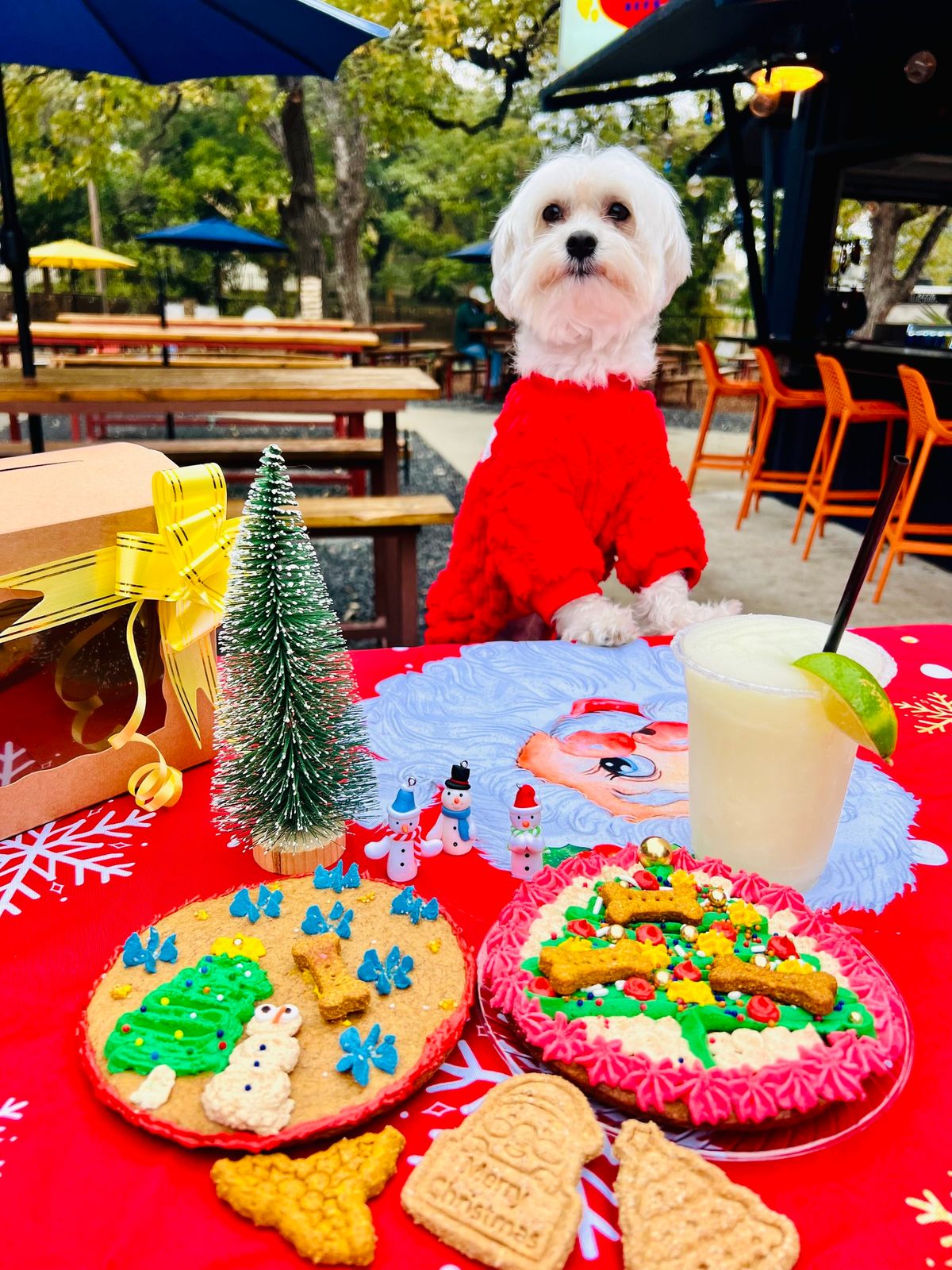 Christmas Monster Cookie DIY Decoration