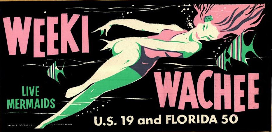 Lecture: A Deep Dive Into Weeki Wachee Springs
