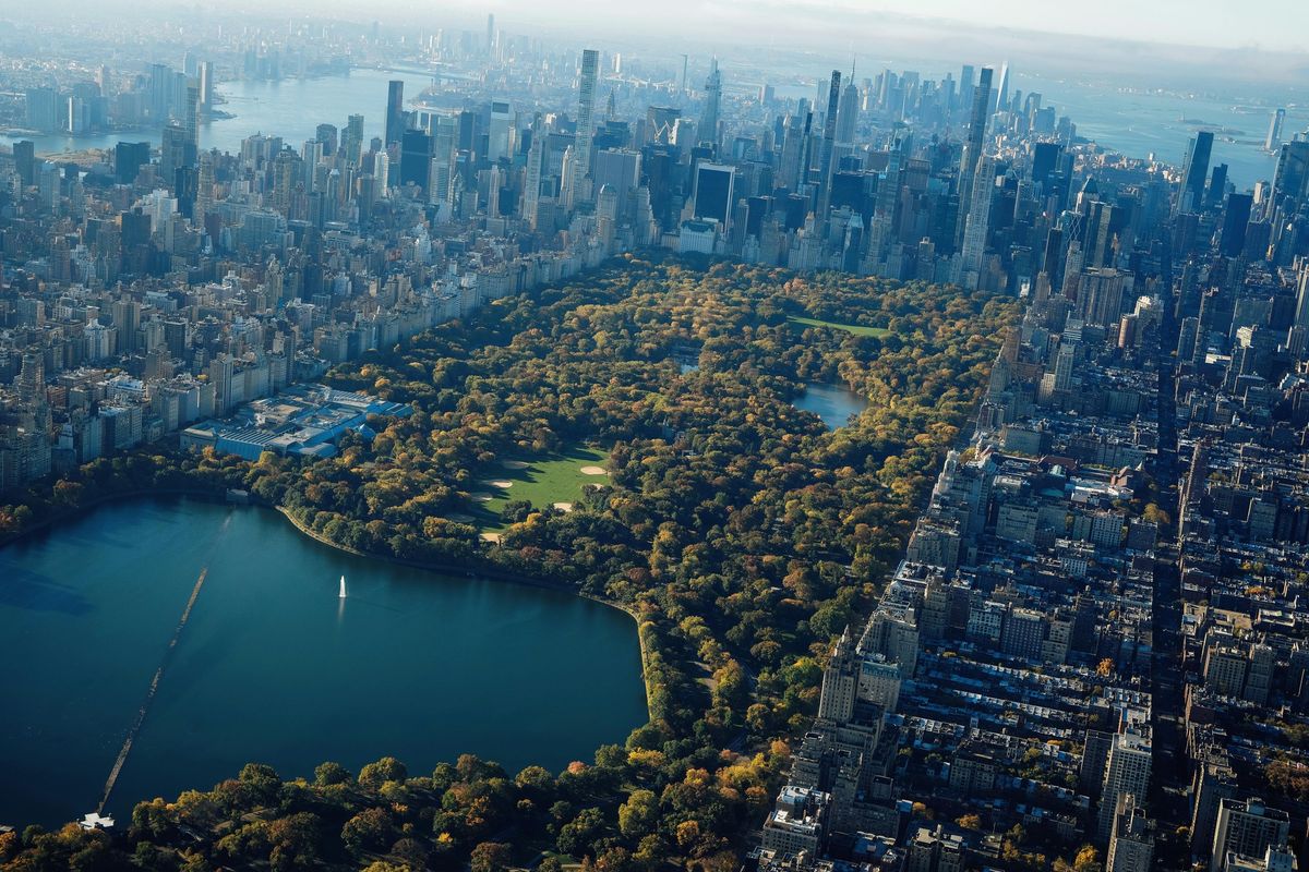 We Belong Here: Central Park