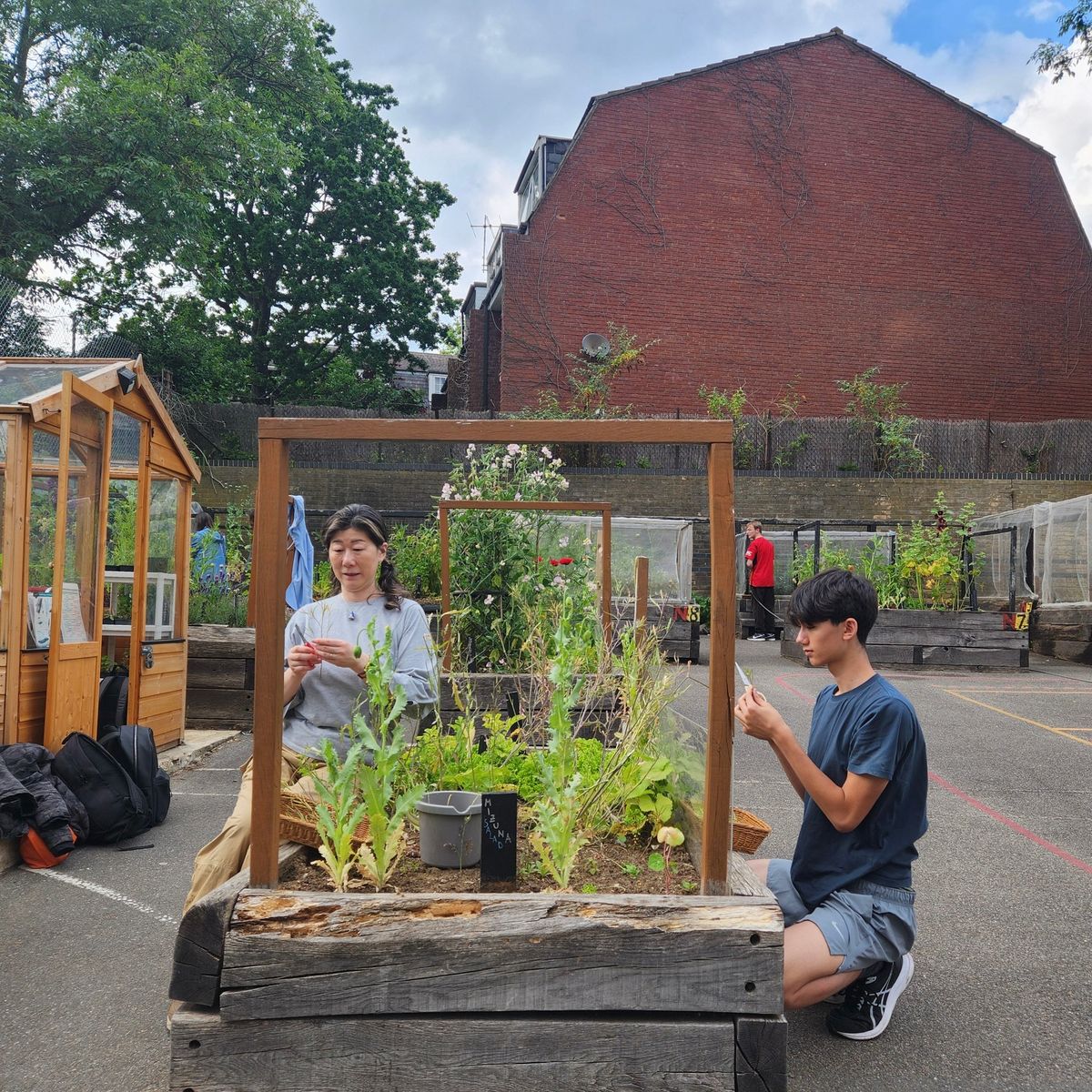 Berrymede Community Gardens in Acton Gardens Primary School