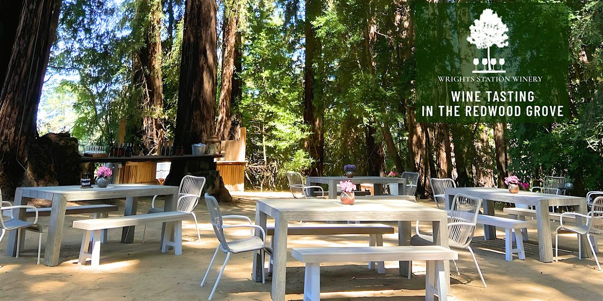 Wine Tasting in the Redwood Grove  w\/ Danielle Fazzolari + Rachel Rossler