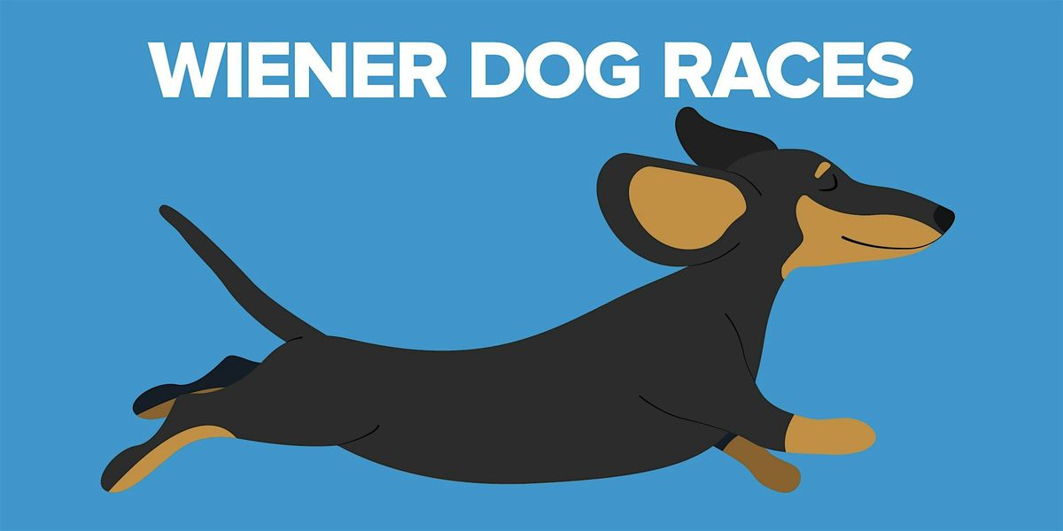 Wiener Dog Races at Ocean Downs Racetrack