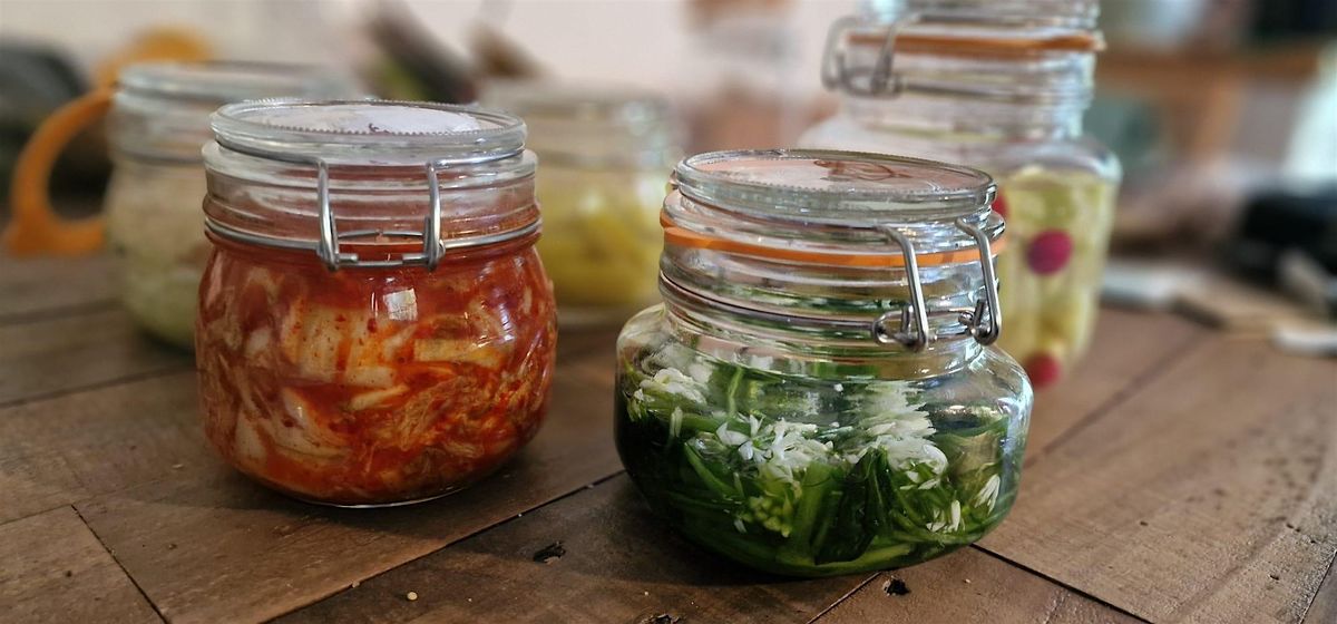 Lacto Fermentation