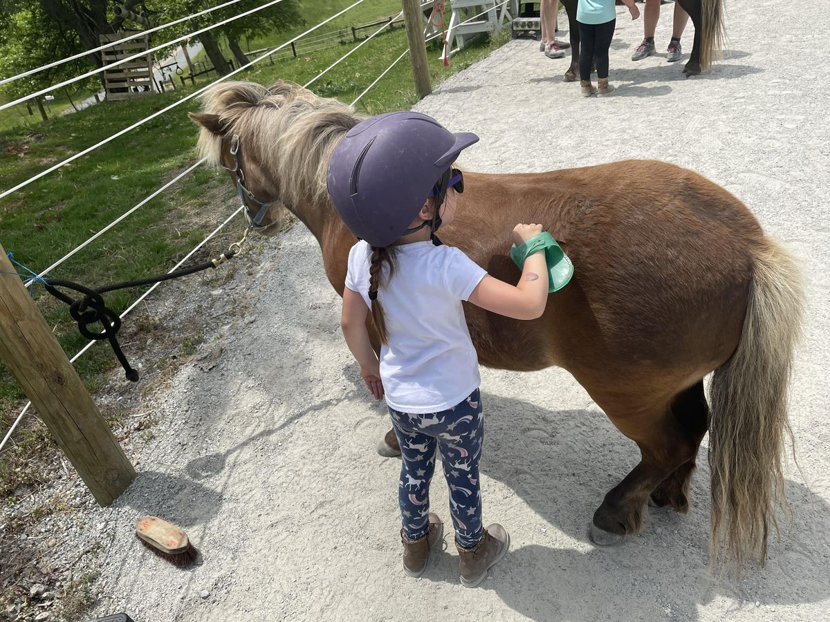 Pony Preschool: August #1, Longshot Stables LLC, Washington Boro, 17 ...