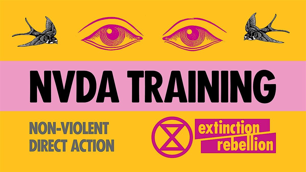 Non-Violent Direct Action Training - Extinction Rebellion Ireland