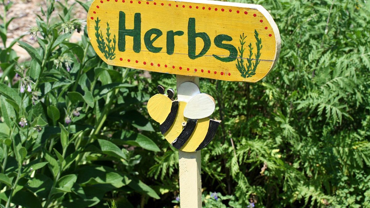 Learn and Play: A Family Herb Workshop