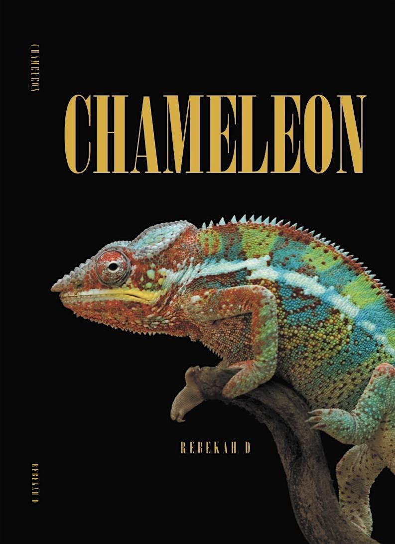 Chameleon Book Launch