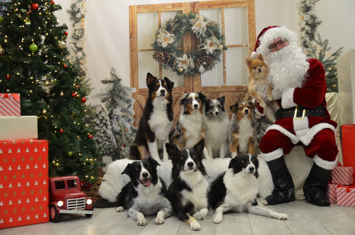 Wags & Wiggles Santa Photos Tustin Facility