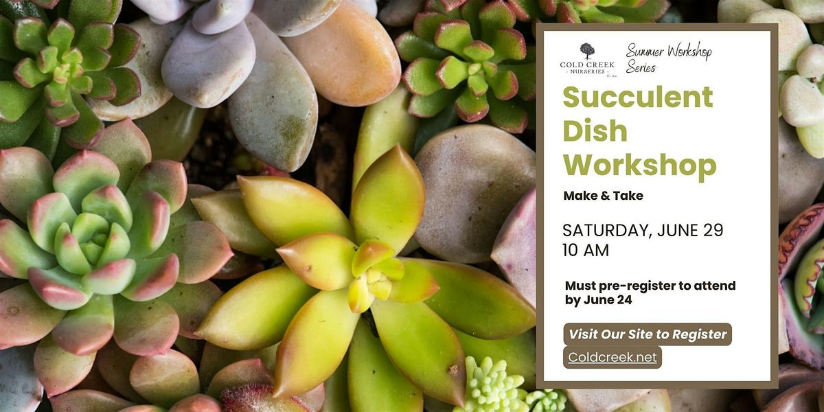 Succulent Dish Workshop