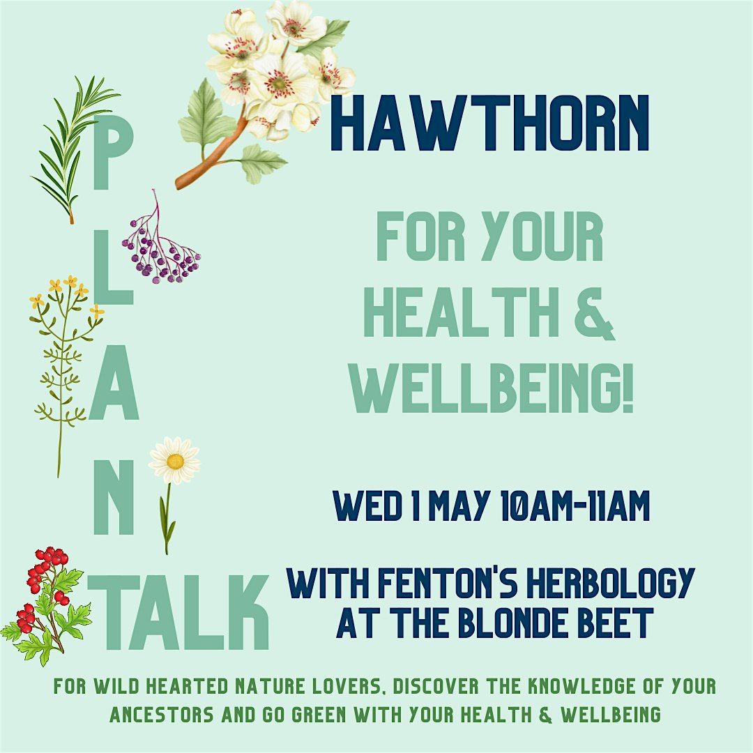 Plant Talk - Hawthorn For Your Health & Wellbeing