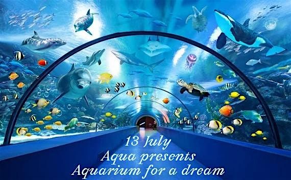 Aquarium for a Dream