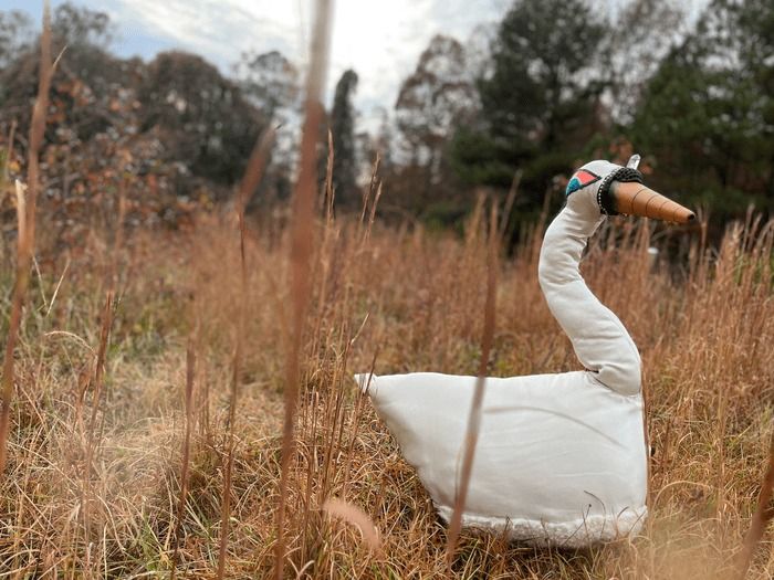 Ambient Farm Stroll with Swannatopia