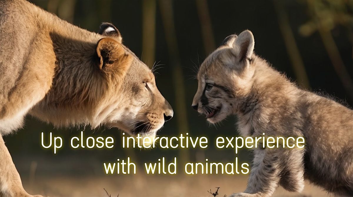 Up close interactive experience with wild animals