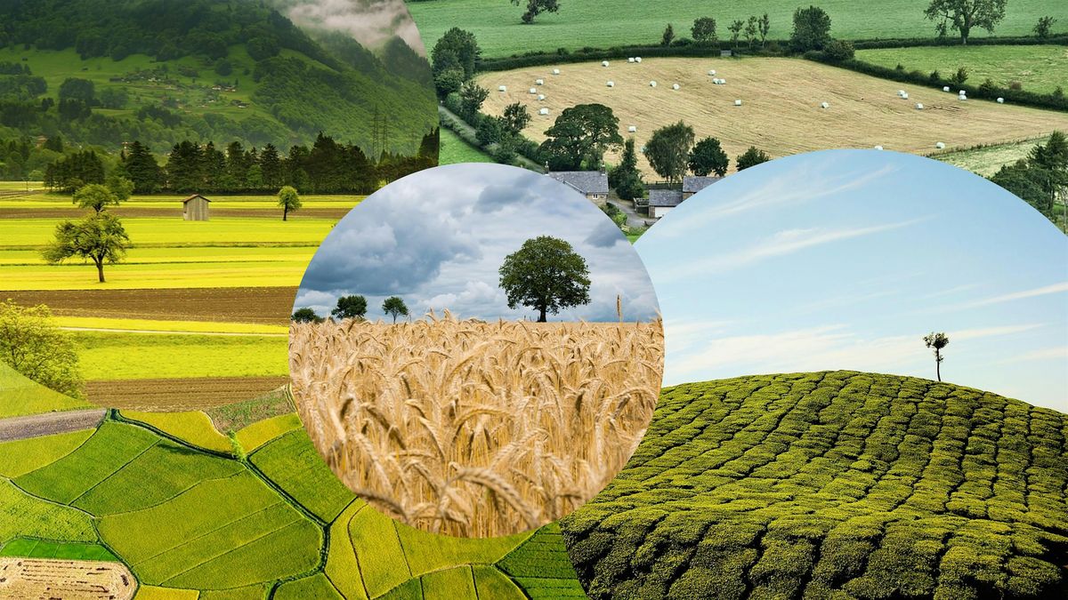 Building climate resilient agriculture