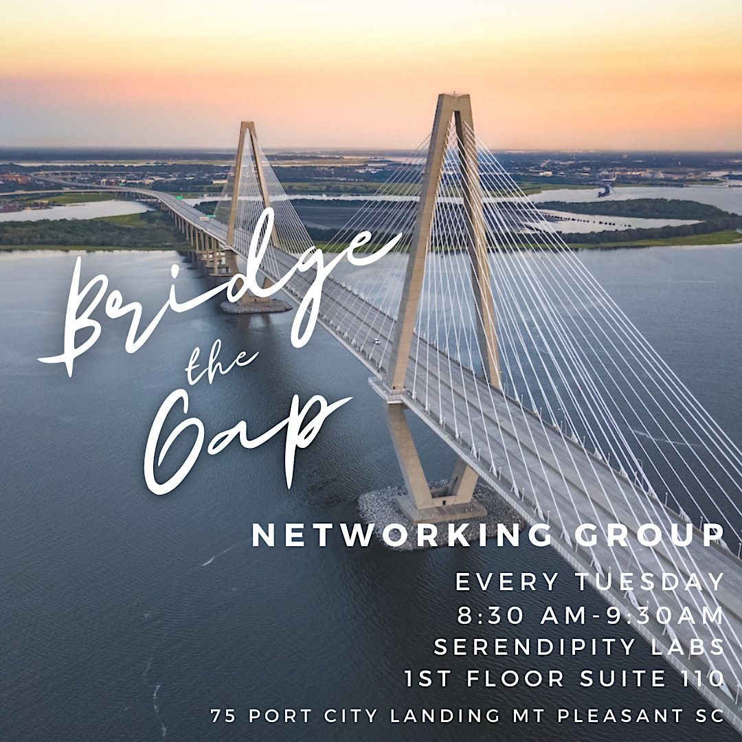 Bridge The Gap: Networking Group
