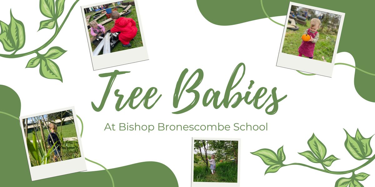 Tree Babies at Bishop Bronescombe School