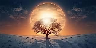 Winter Solstice Celebration & Intention Setting