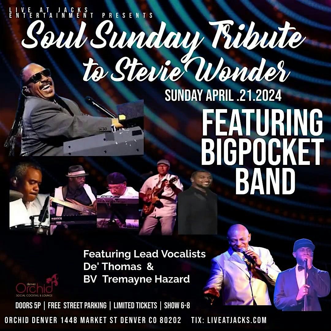 SOUL SUNDAY Tribute to  STEVIE WONDER Featuring BigPocket Band