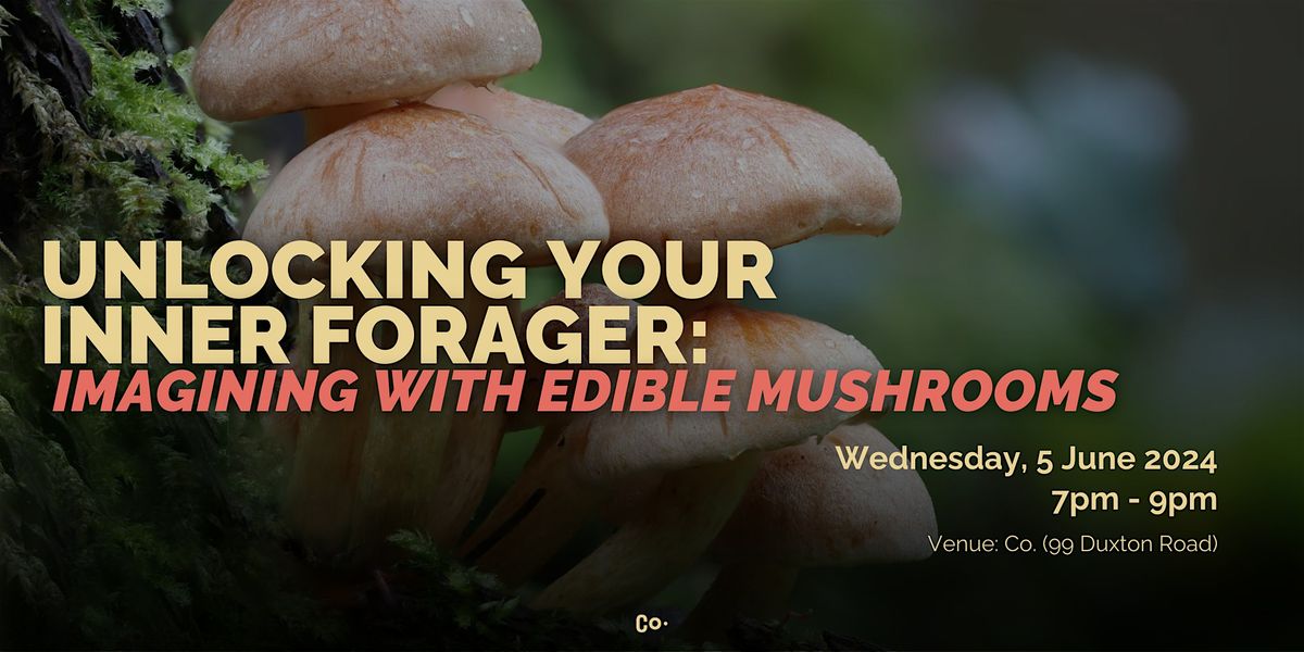 Unlocking Your Inner Forager: Imagining with Edible Mushrooms