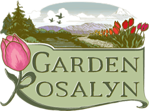 2023 Tulip Festival at Garden Rosalyn