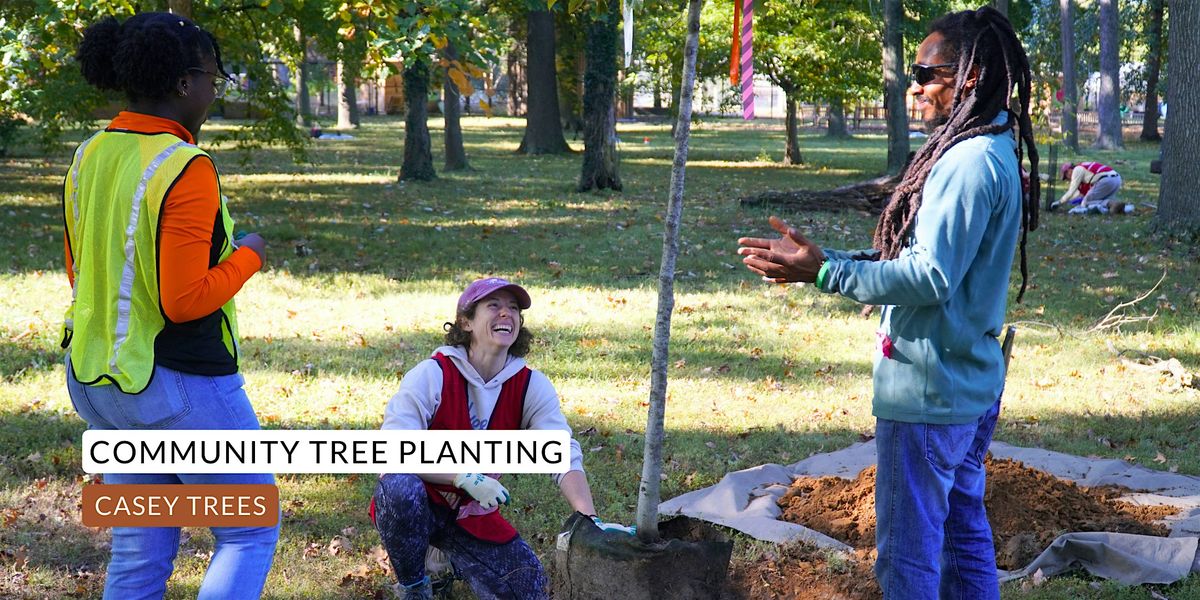 Community Tree Planting: Hamilton Manor