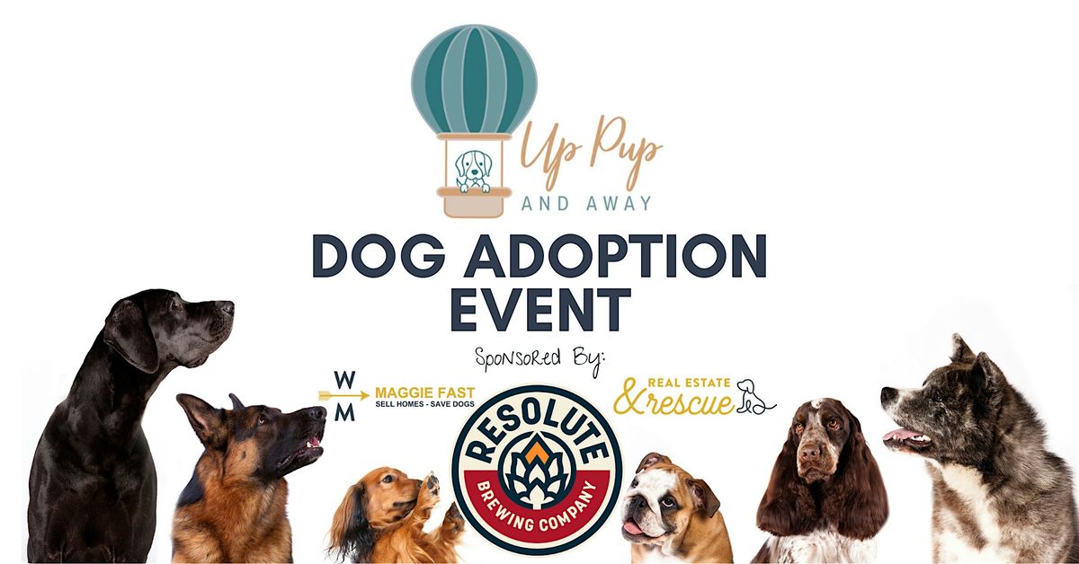 Dog Adoption Event and Fundraiser for Up Pup and Away Rescue