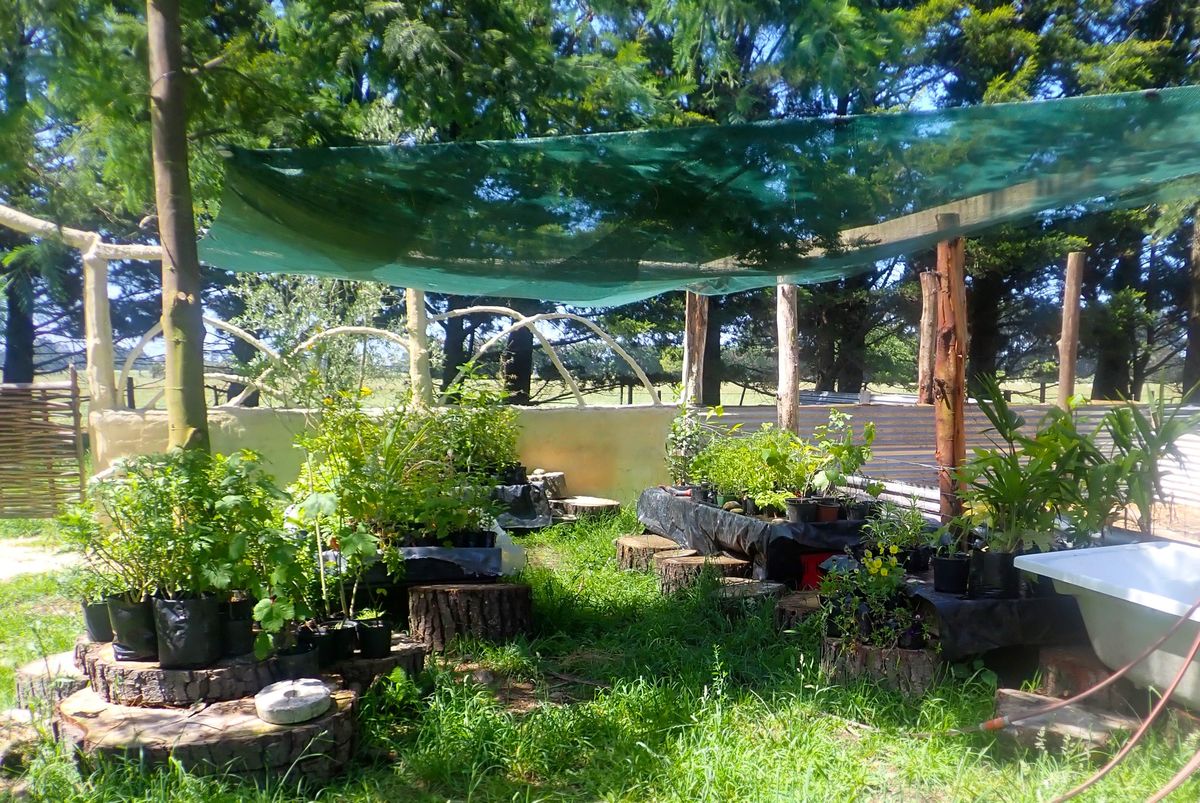 Wairarapa Eco Farm Open Day