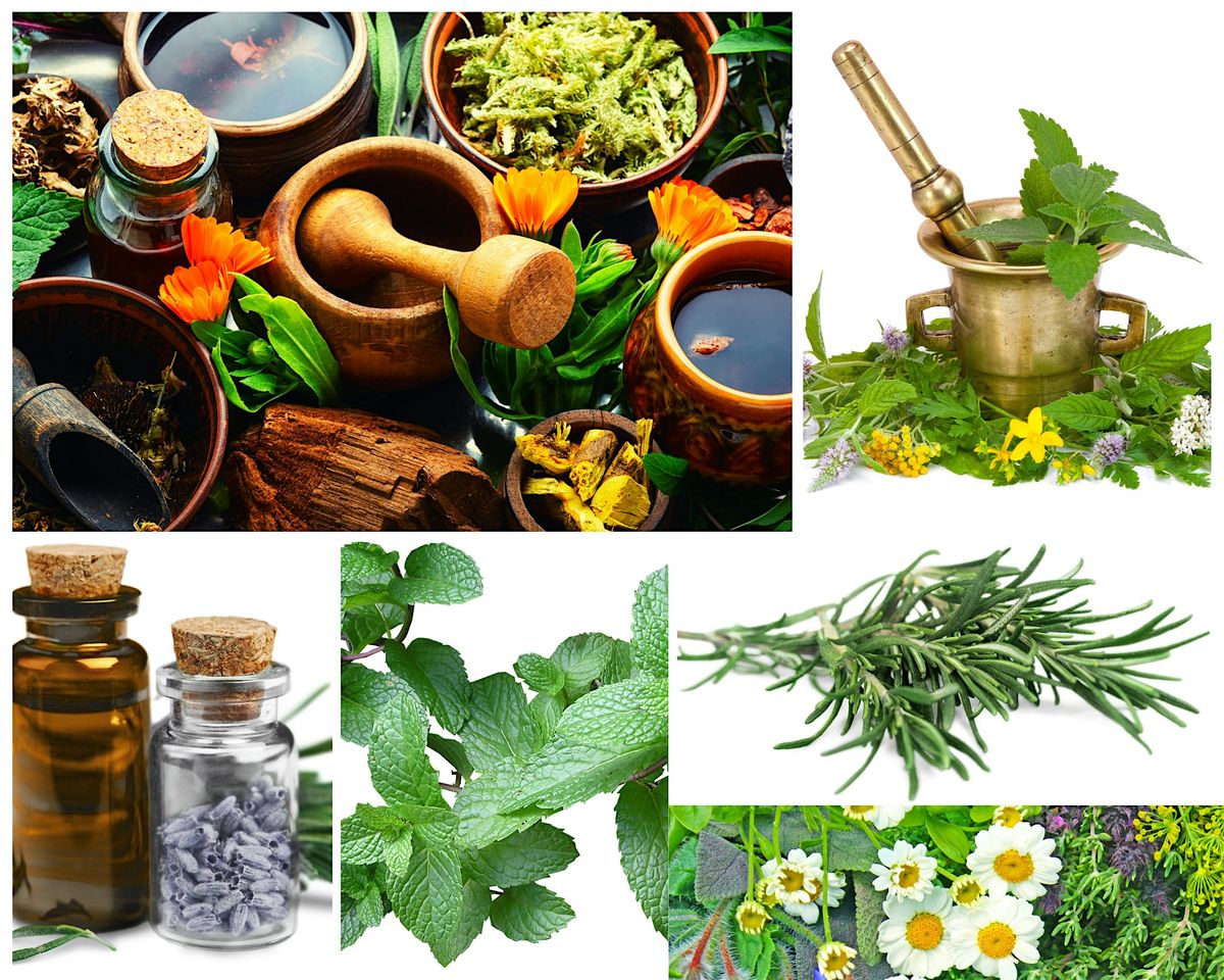 Cultivating Botanicals  - Crafting  Natural Medicines and Skincare