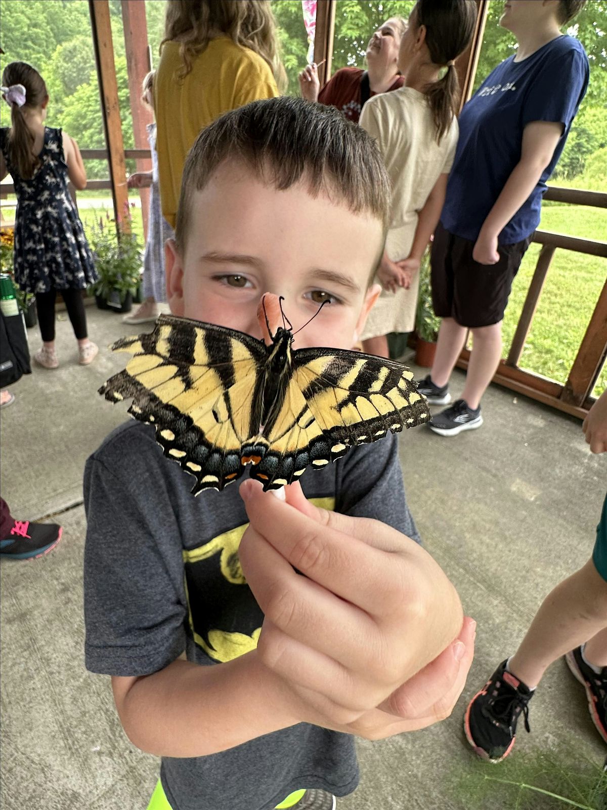 Interacting with Nature: Butterflies at the Butterfly Exhibit